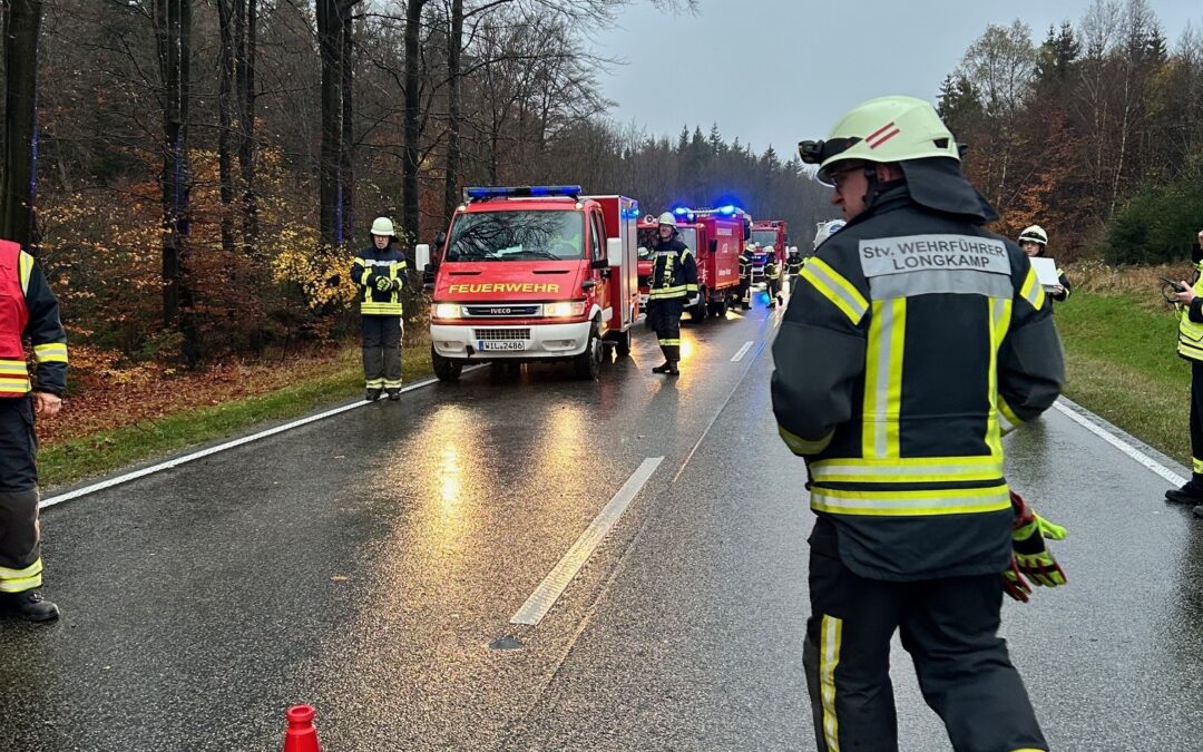 Einsatz 32/2024 – G2 auslaufende Betriebsstoffe aus LKW B327